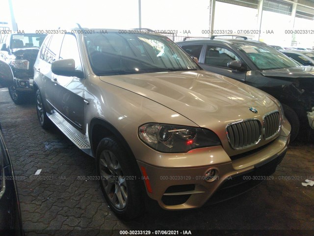 BMW X5 2013 000004c57d0e04511