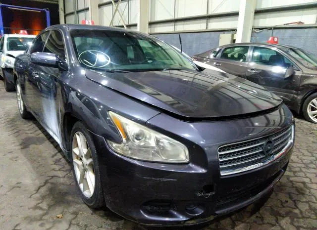 NISSAN MAXIMA 2010 000aa5ap1ac850364