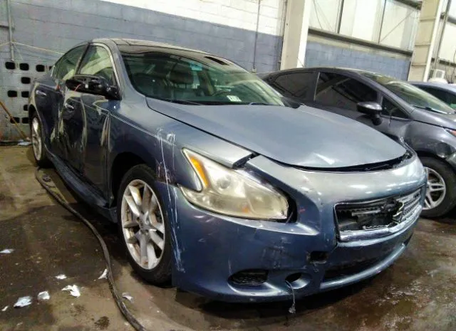 NISSAN MAXIMA 2010 000aa5ap8ac800738