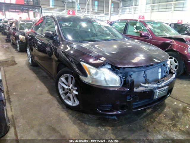 NISSAN MAXIMA 2011 004aa5ap4bc845533