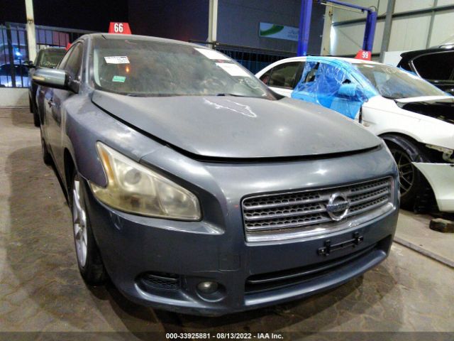 NISSAN MAXIMA 2010 004aa5ap5ac811793