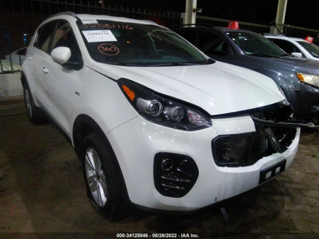 KIA SPORTAGE 2019 00dpmcac4k7516997