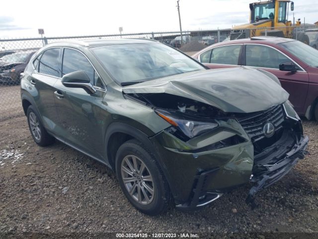 LEXUS NX 2021 00jtjdarbzxm21871