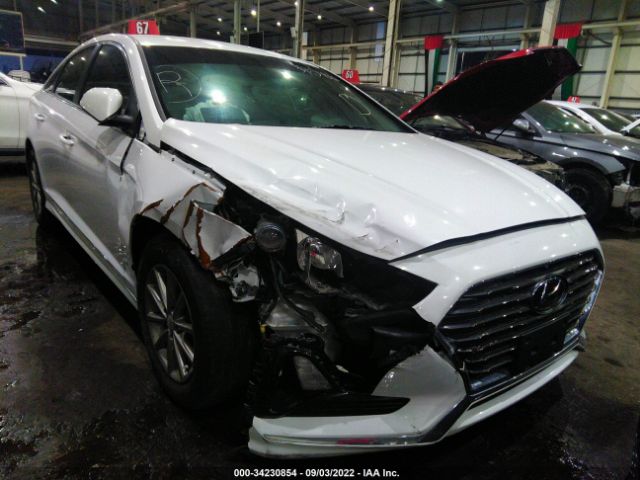 HYUNDAI SONATA 2018 00pe24aa1jh695866