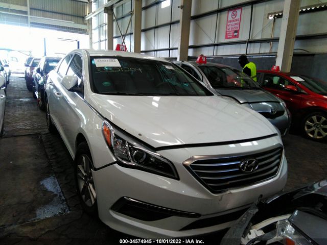 HYUNDAI SONATA 2015 00pe24af0fh005043