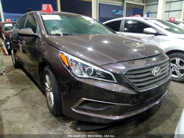 HYUNDAI SONATA 2017 00pe24af0hh443015