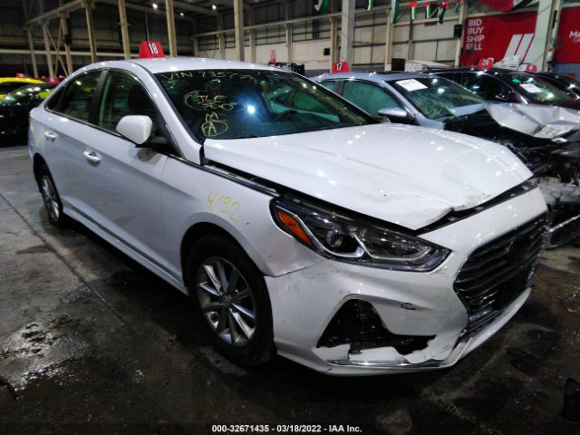 HYUNDAI SONATA 2019 00pe24af0kh735738