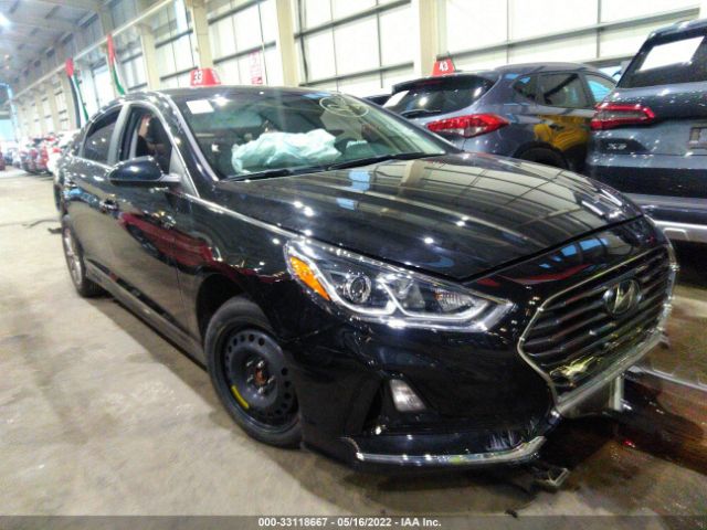 HYUNDAI SONATA 2019 00pe24af0kh780145