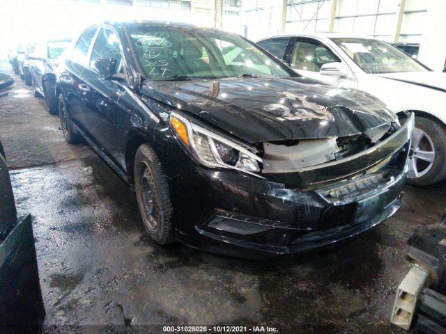 HYUNDAI SONATA 2017 00pe24af1hh580738