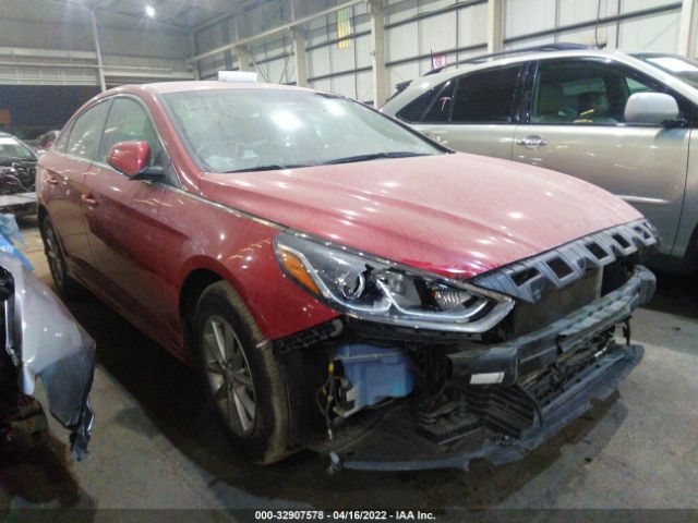 HYUNDAI SONATA 2019 00pe24af1kh783927