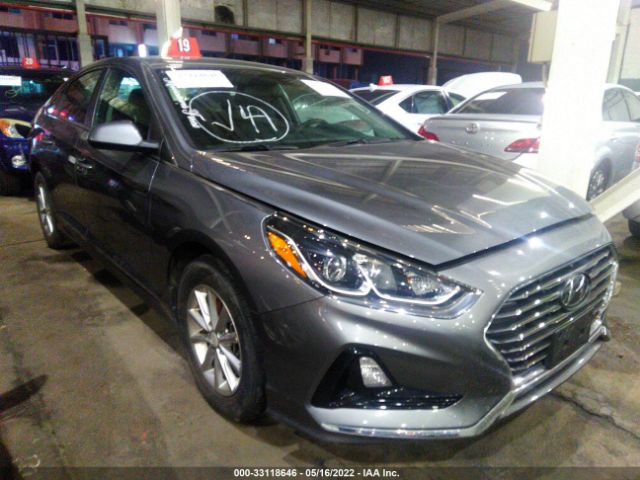 HYUNDAI SONATA 2019 00pe24af6kh783647