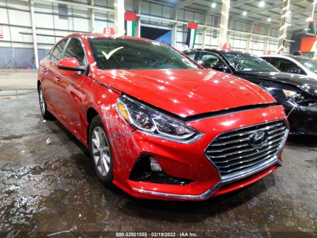 HYUNDAI SONATA 2019 00pe24af6kh786242