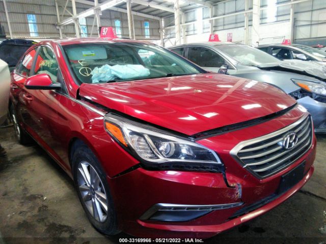 HYUNDAI SONATA 2015 00pe24af7fh230799