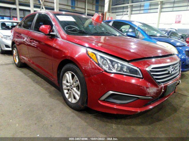 HYUNDAI SONATA 2016 00pe24af8gh276823