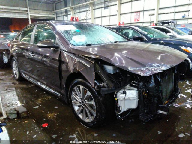 HYUNDAI SONATA 2017 00pe34af1hh577979