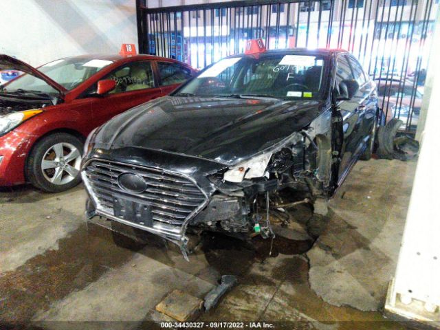 HYUNDAI SONATA 2018 00pe34af1jh609805