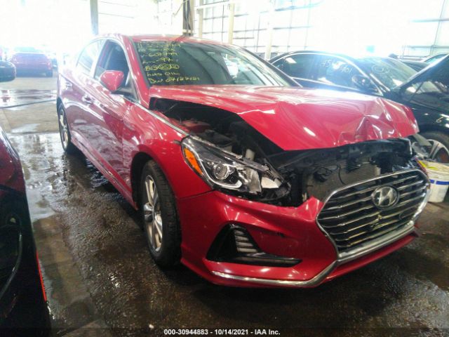 HYUNDAI SONATA 2018 00pe34af5jh607779