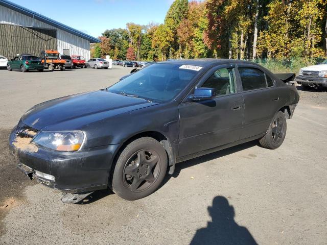 ACURA 3.2TL 2003 19uua56613a030681