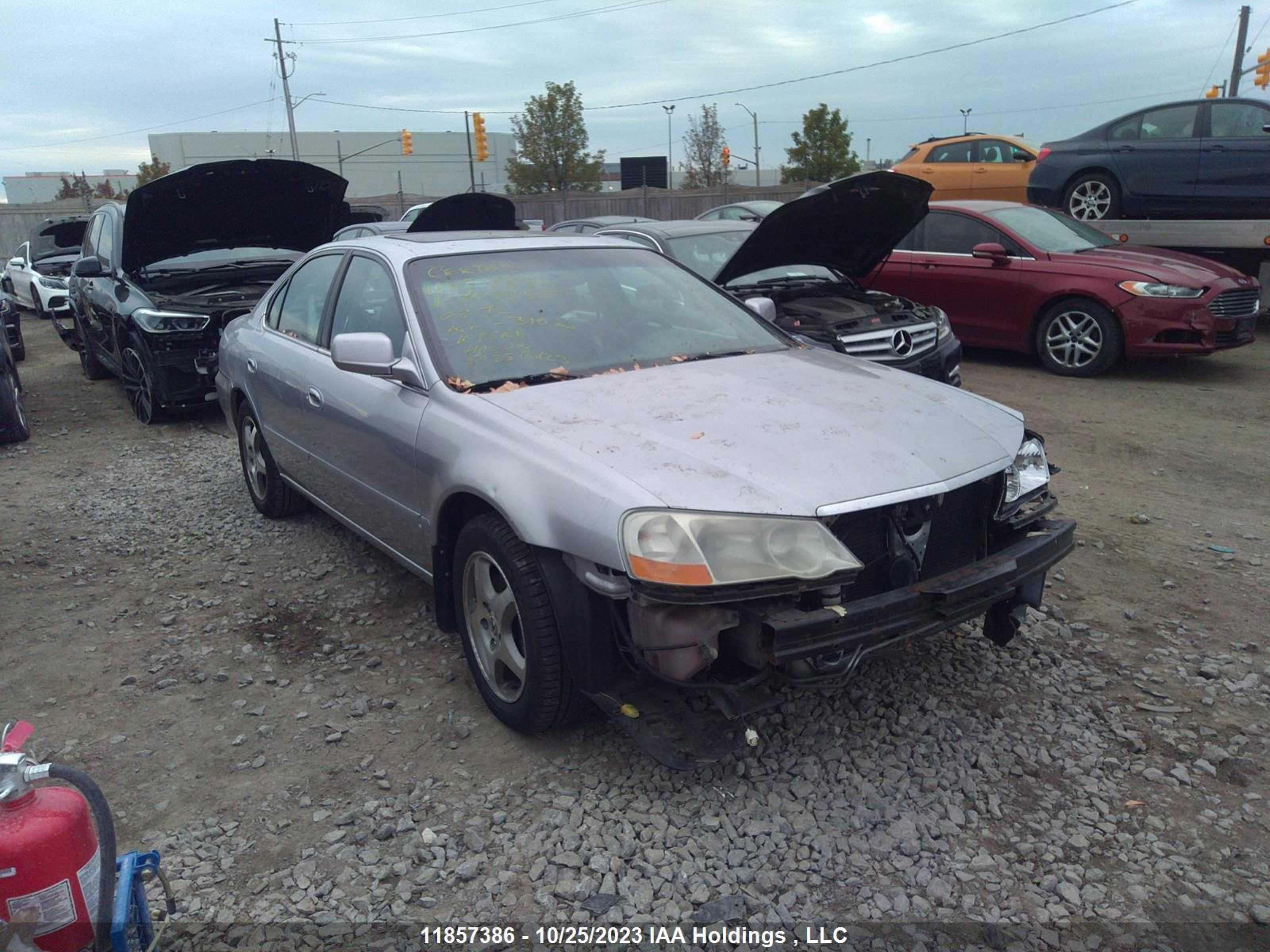 ACURA TL 2002 19uua56672a803555