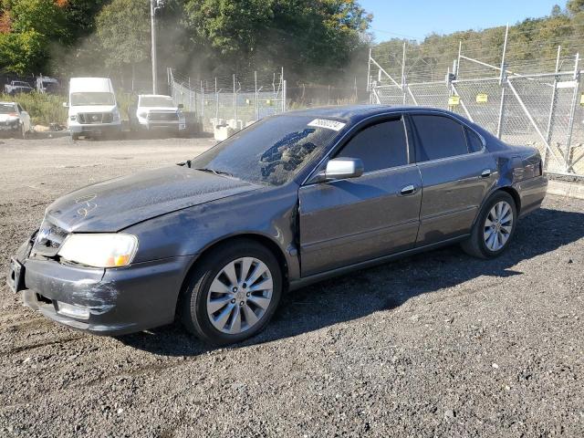 ACURA 3.2TL 2003 19uua56673a058419