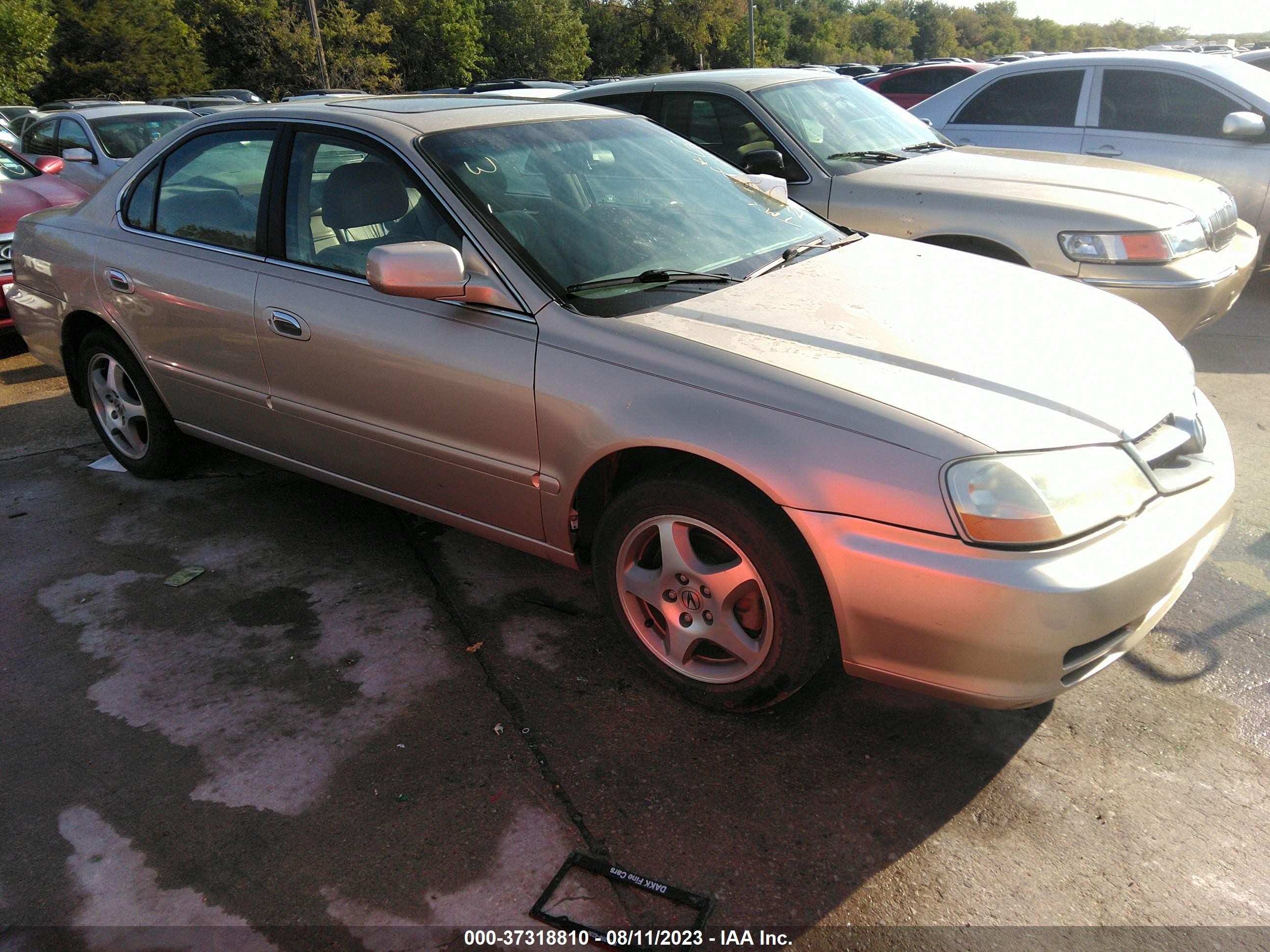 ACURA TL 2002 19uua56682a033527