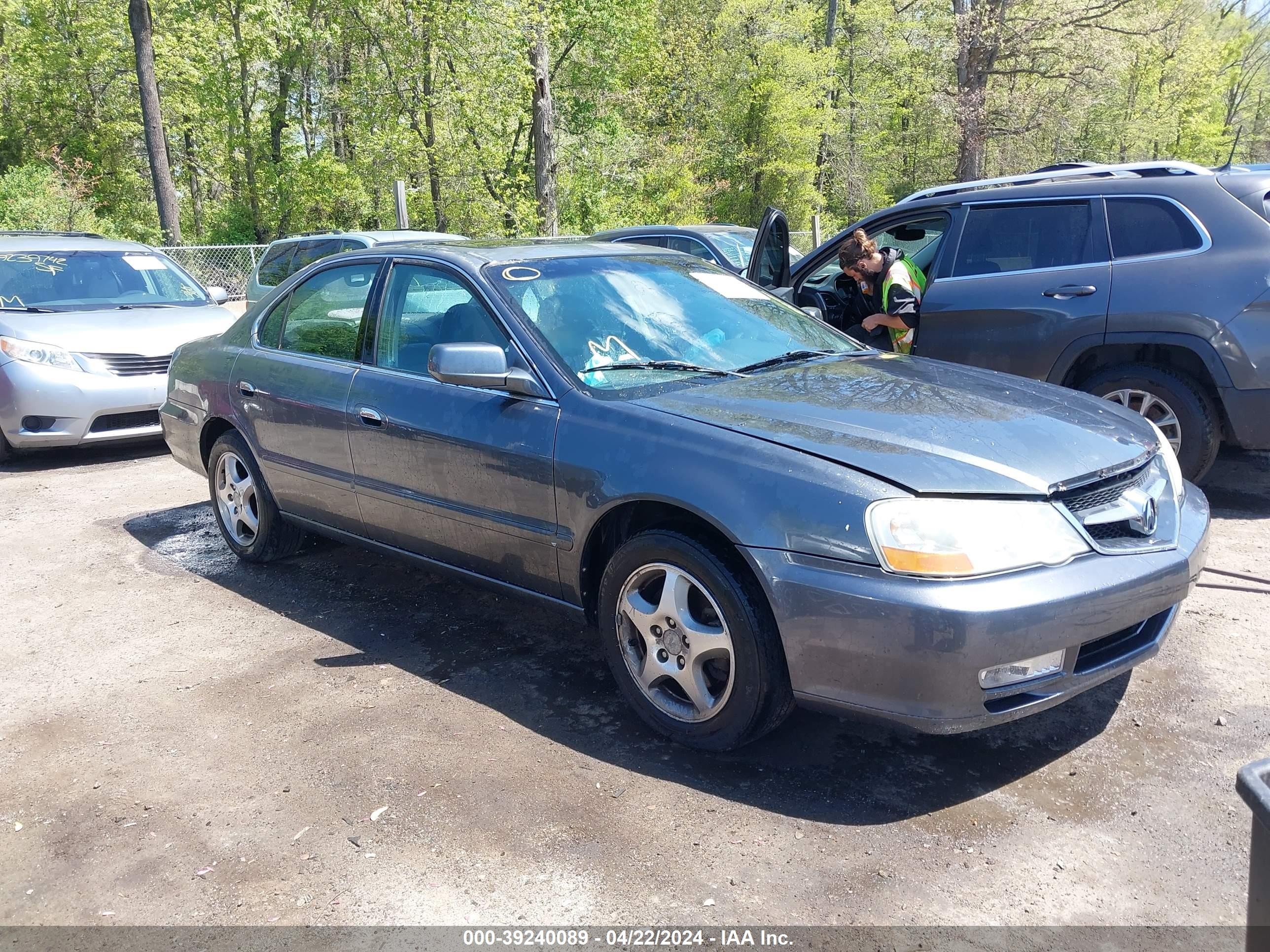 ACURA TL 2002 19uua56692a030491