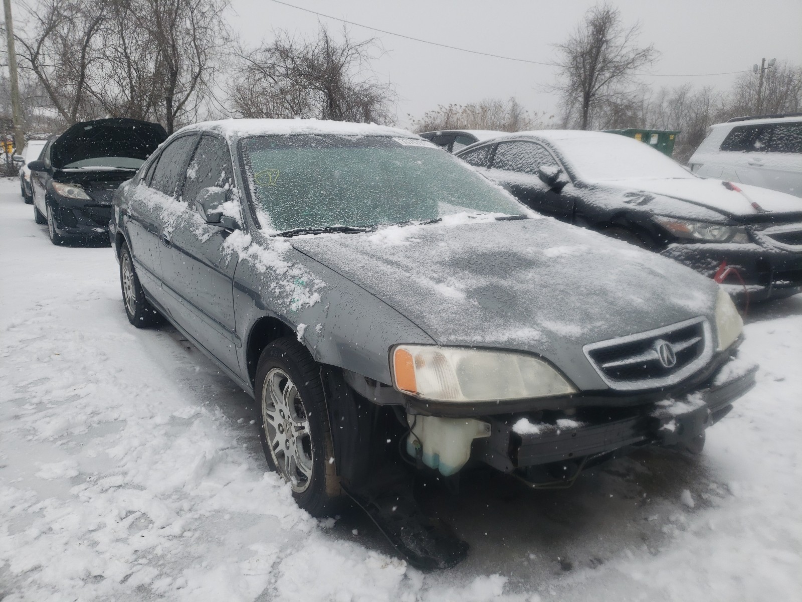 ACURA 3.2TL 2000 19uua5669ya060695