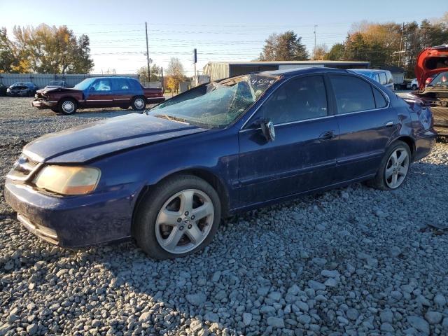 ACURA TL 2002 19uua56872a054029