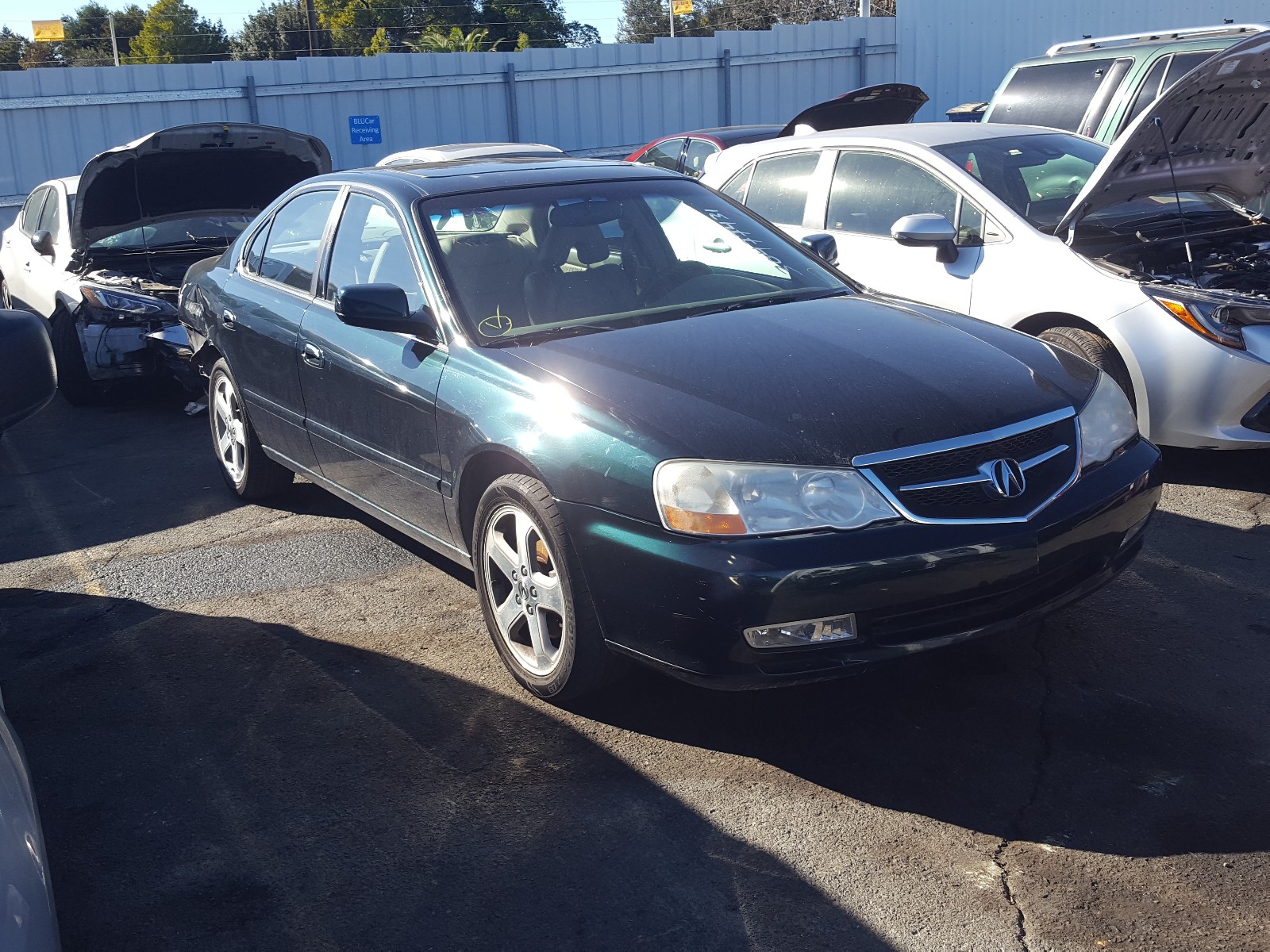 ACURA 3.2TL TYPE 2002 19uua56882a002294