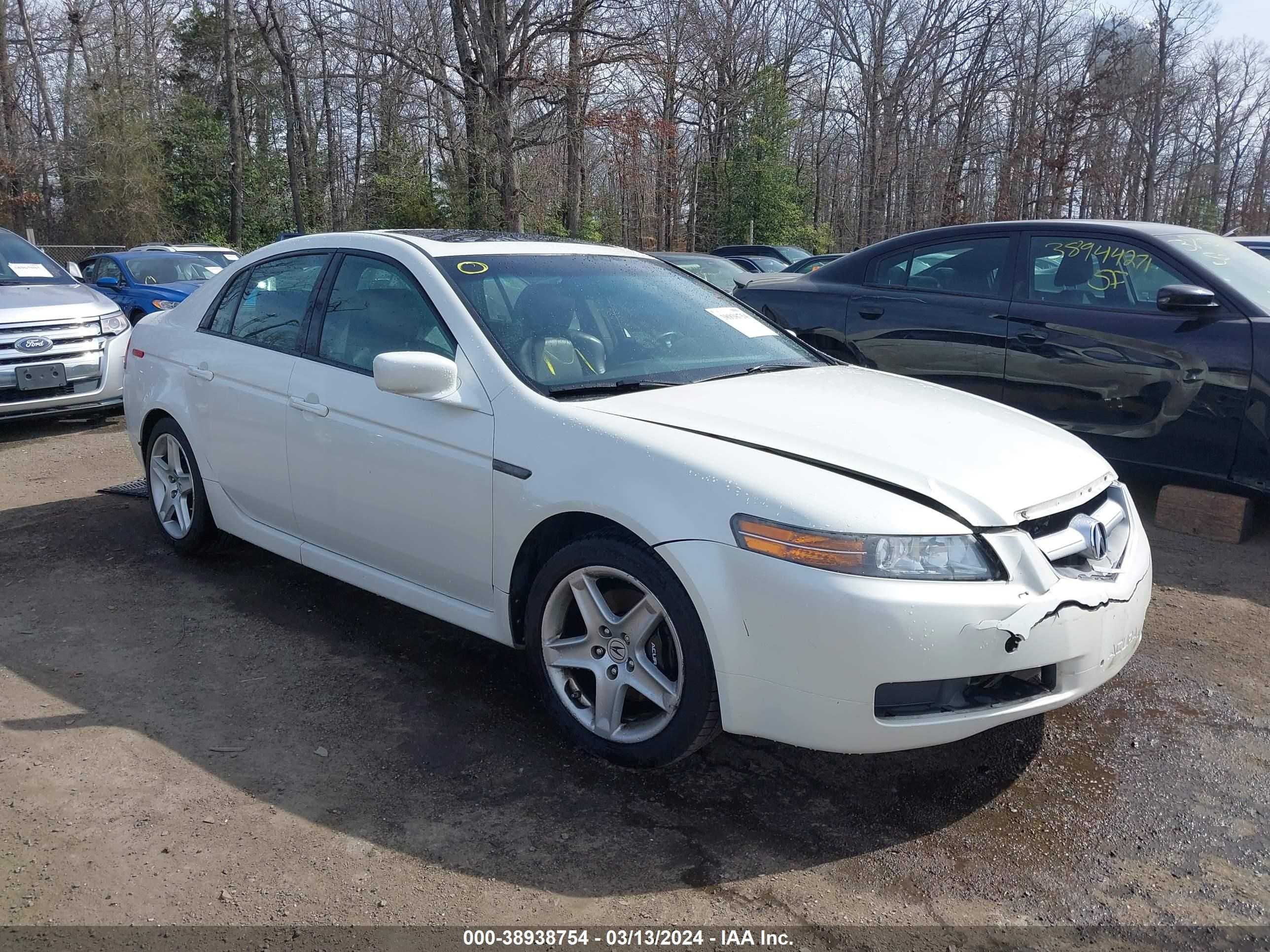 ACURA TL 2006 19uua65526a077687