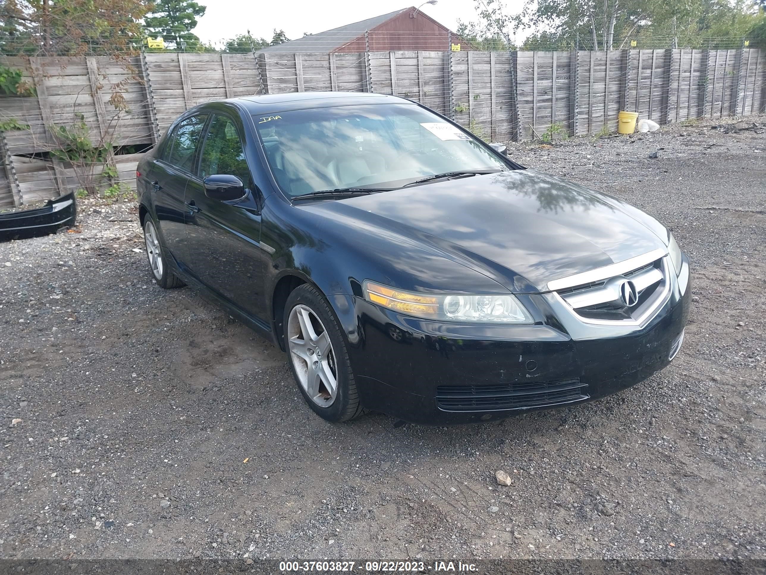 ACURA TL 2004 19uua65534a017530