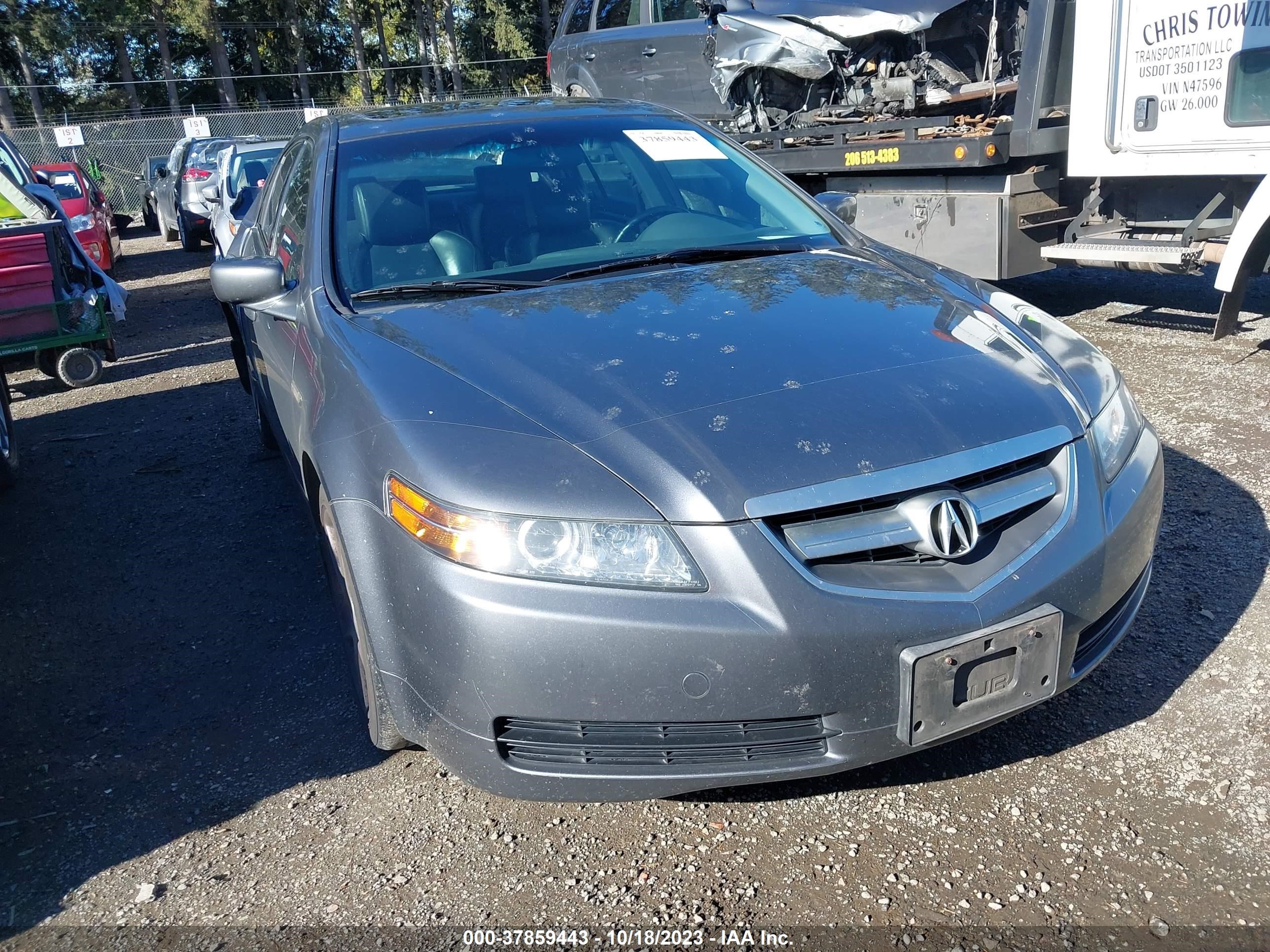 ACURA TL 2005 19uua65565a000531