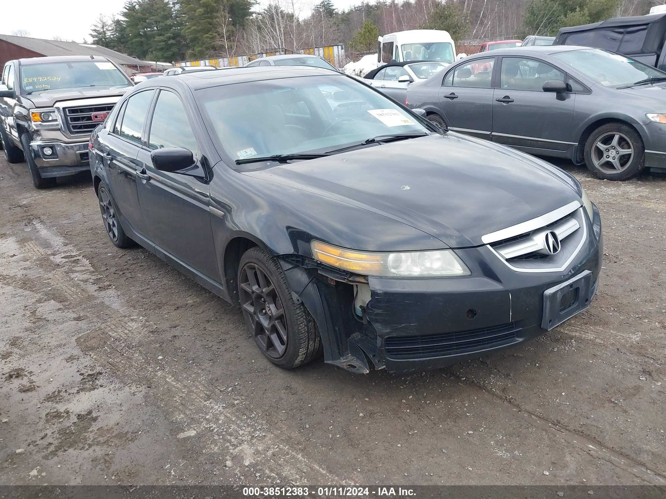 ACURA TL 2005 19uua65595a005206