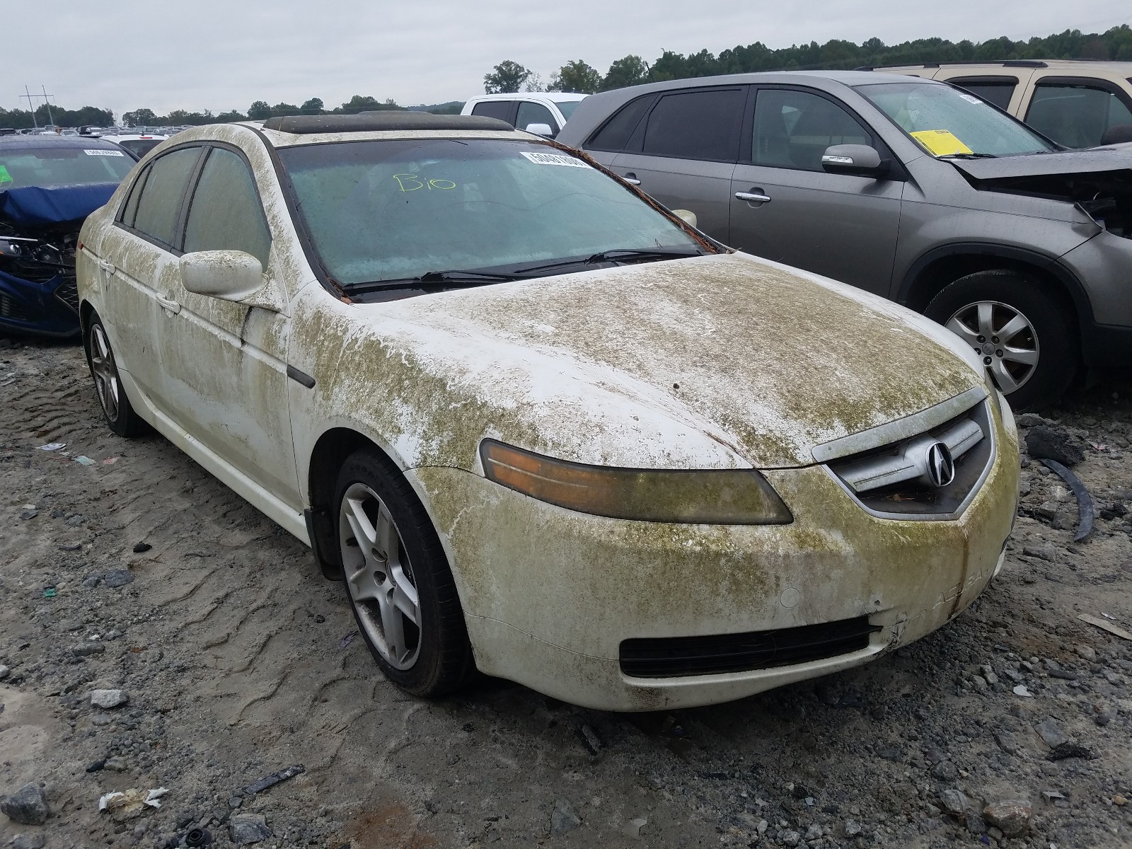 ACURA TL 2004 19uua65634a019450