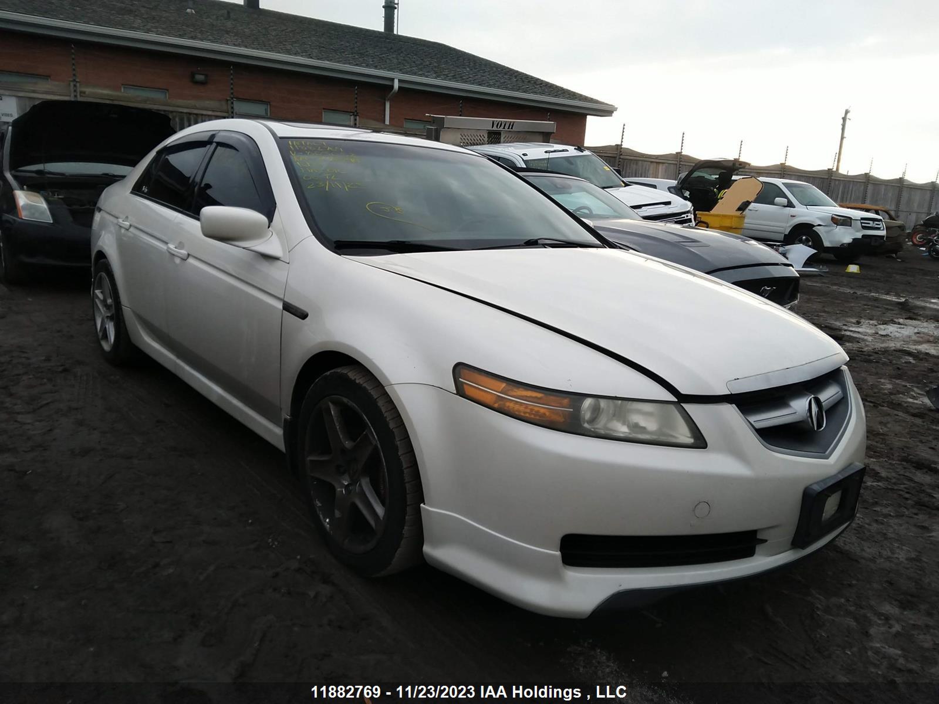 ACURA TL 2006 19uua65666a805052