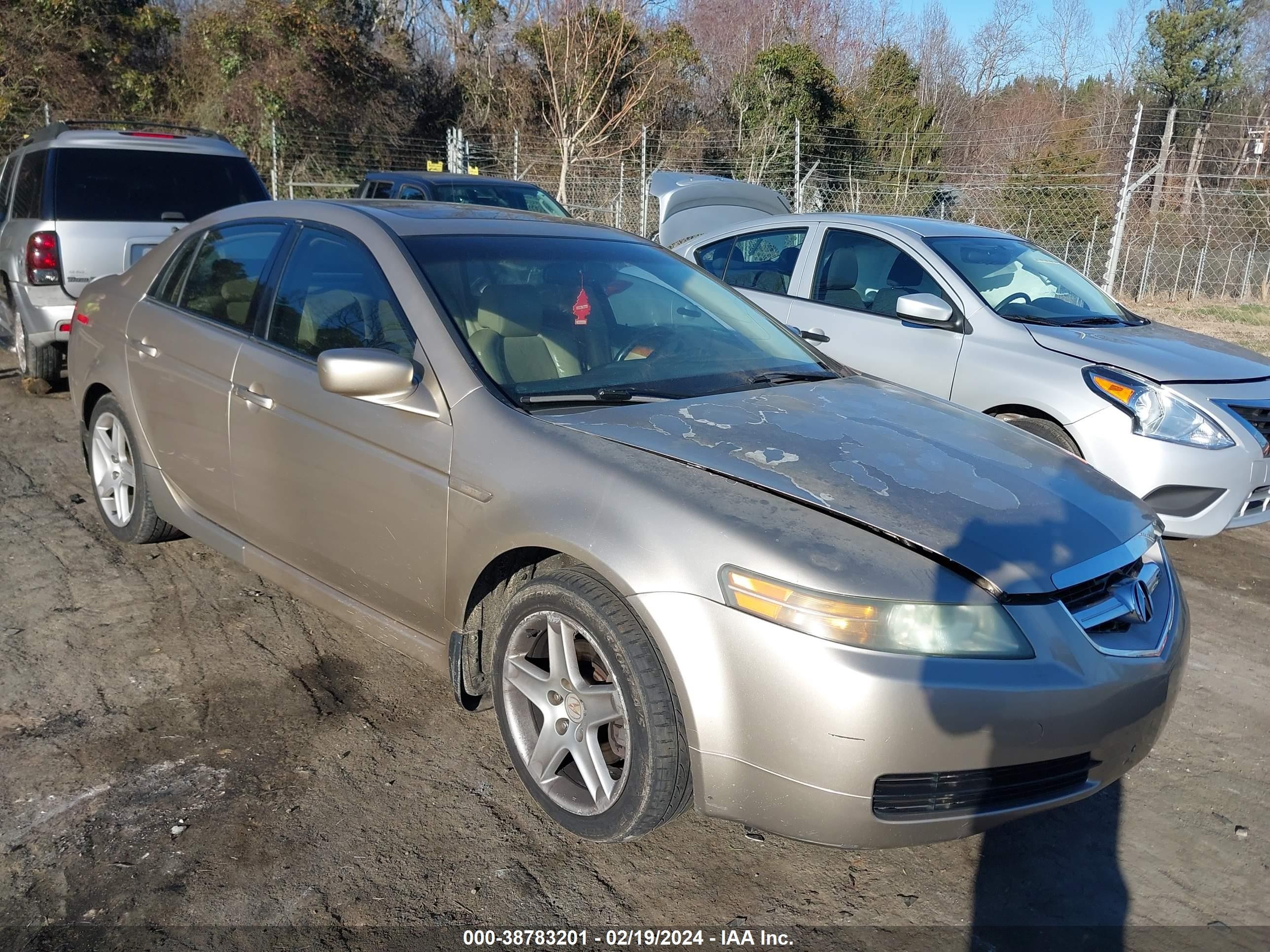 ACURA TL 2004 19uua66204a023368