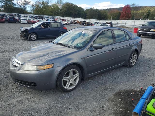 ACURA TL 2004 19uua66204a058198