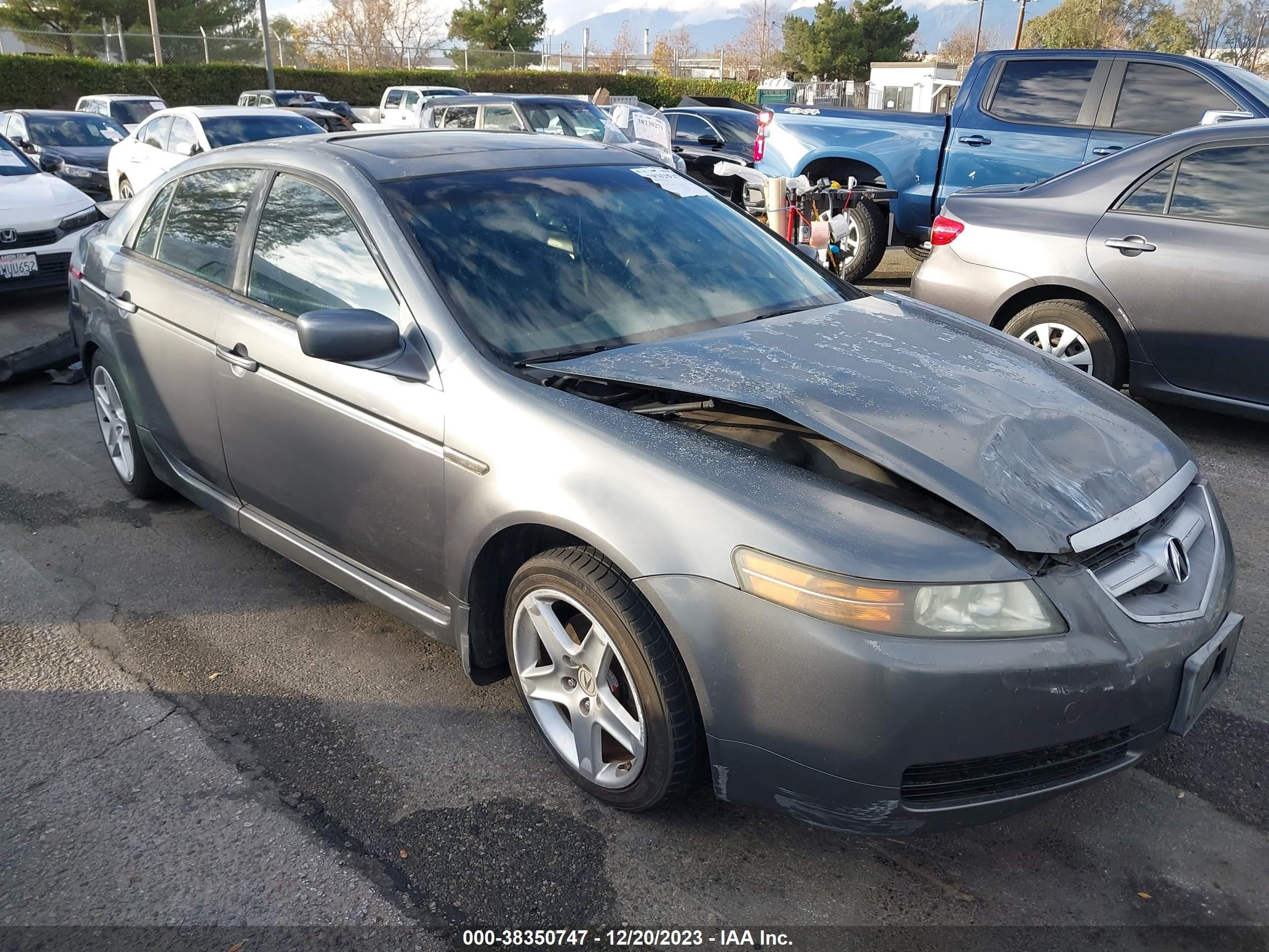 ACURA TL 2005 19uua66205a078520