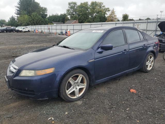 ACURA 3.2TL 2006 19uua66206a010123