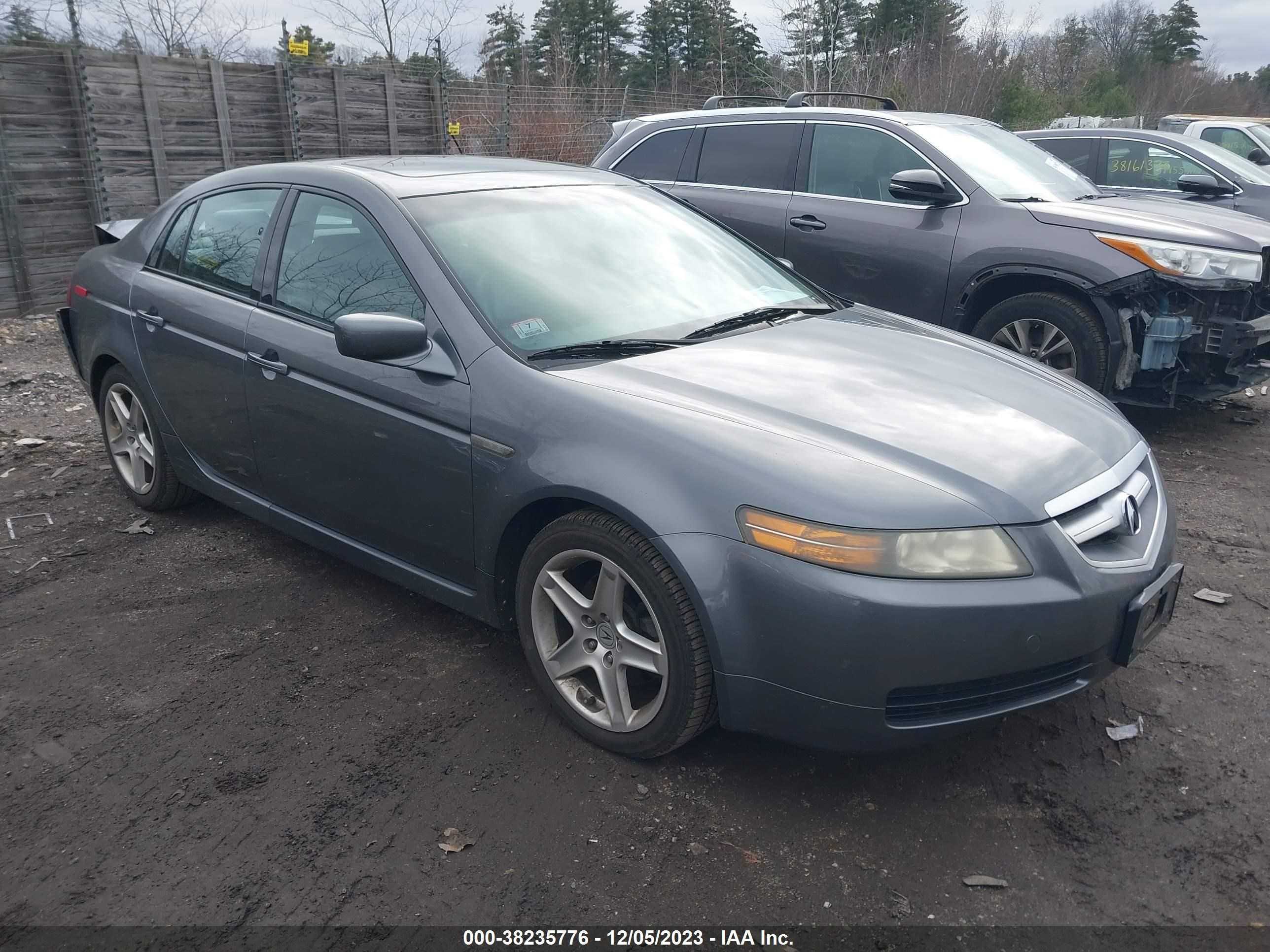 ACURA TL 2006 19uua66206a012034