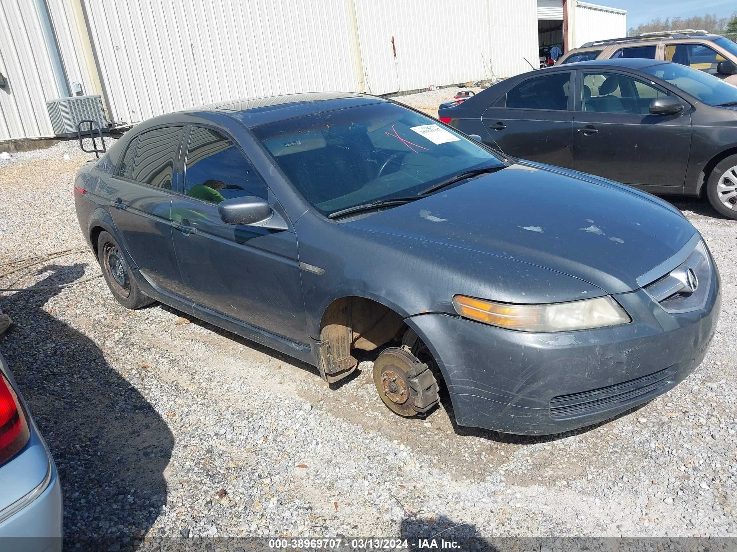 ACURA TL 2006 19uua66206a020263