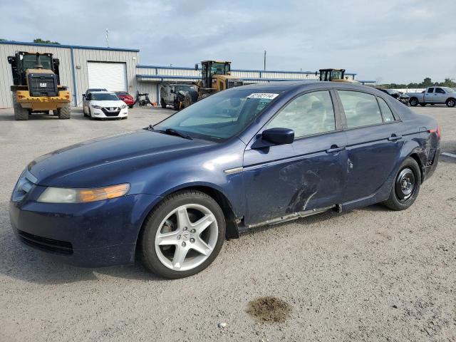 ACURA TL 2006 19uua66206a025849