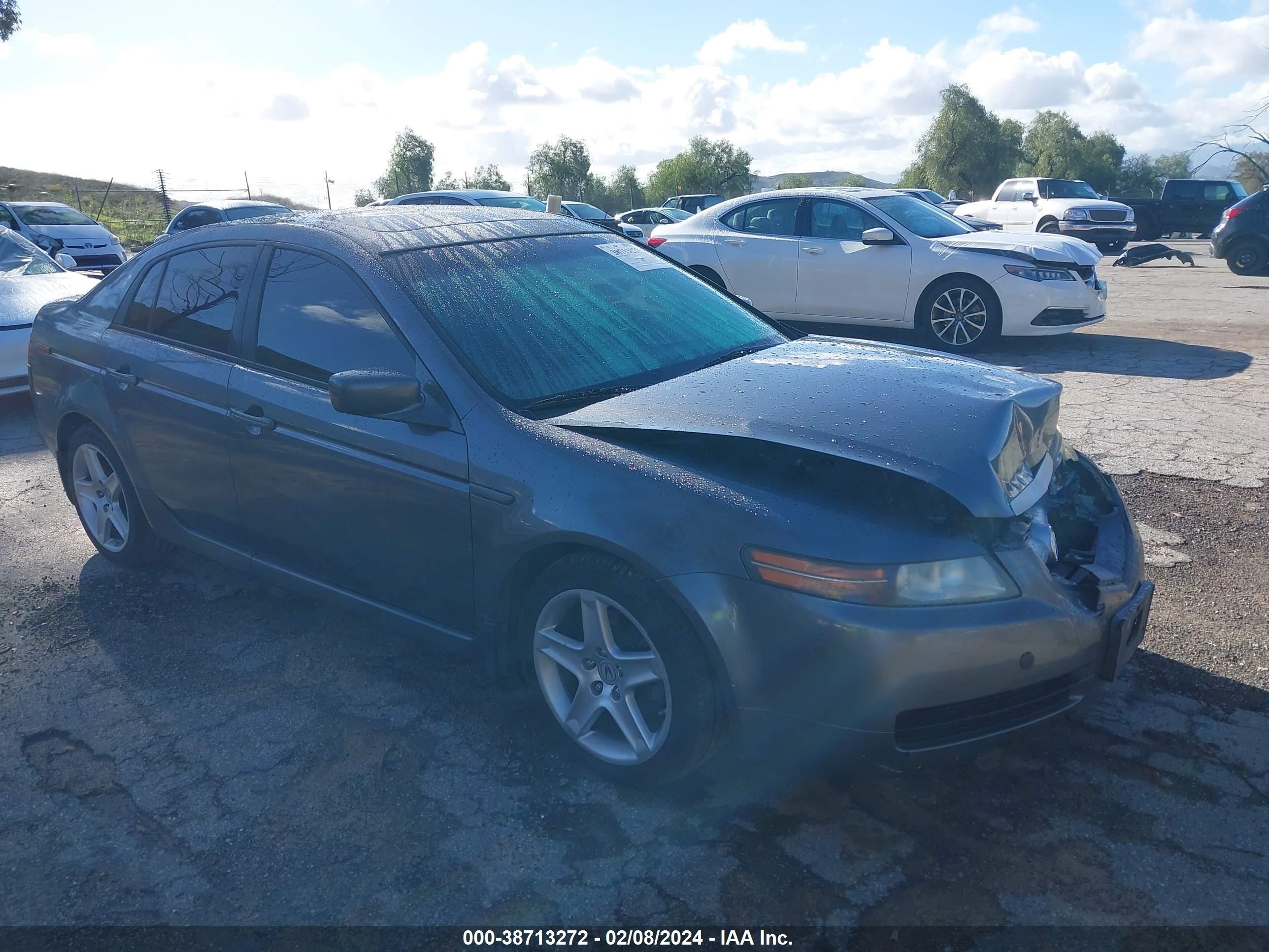 ACURA TL 2006 19uua66206a026113