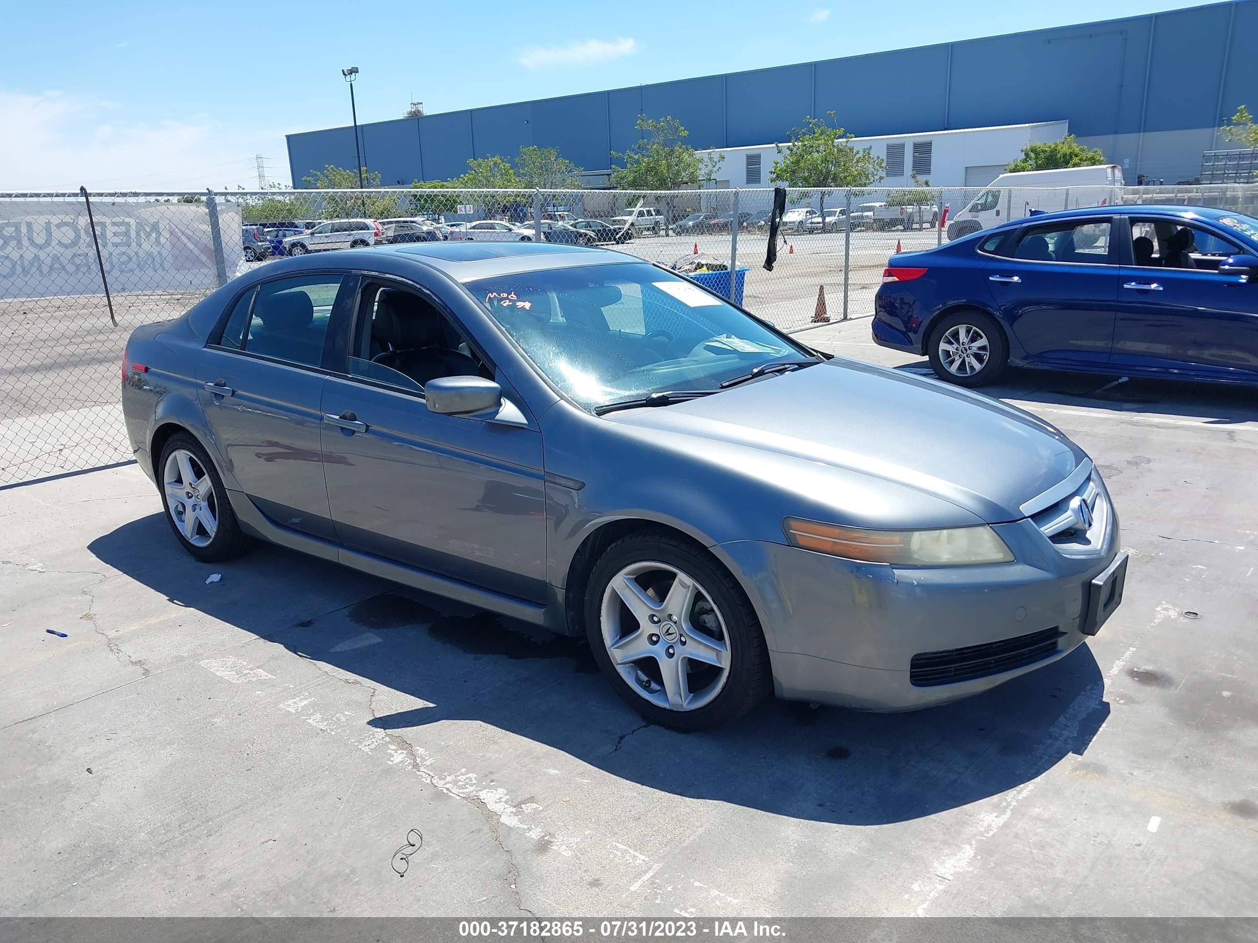 ACURA TL 2006 19uua66206a036785