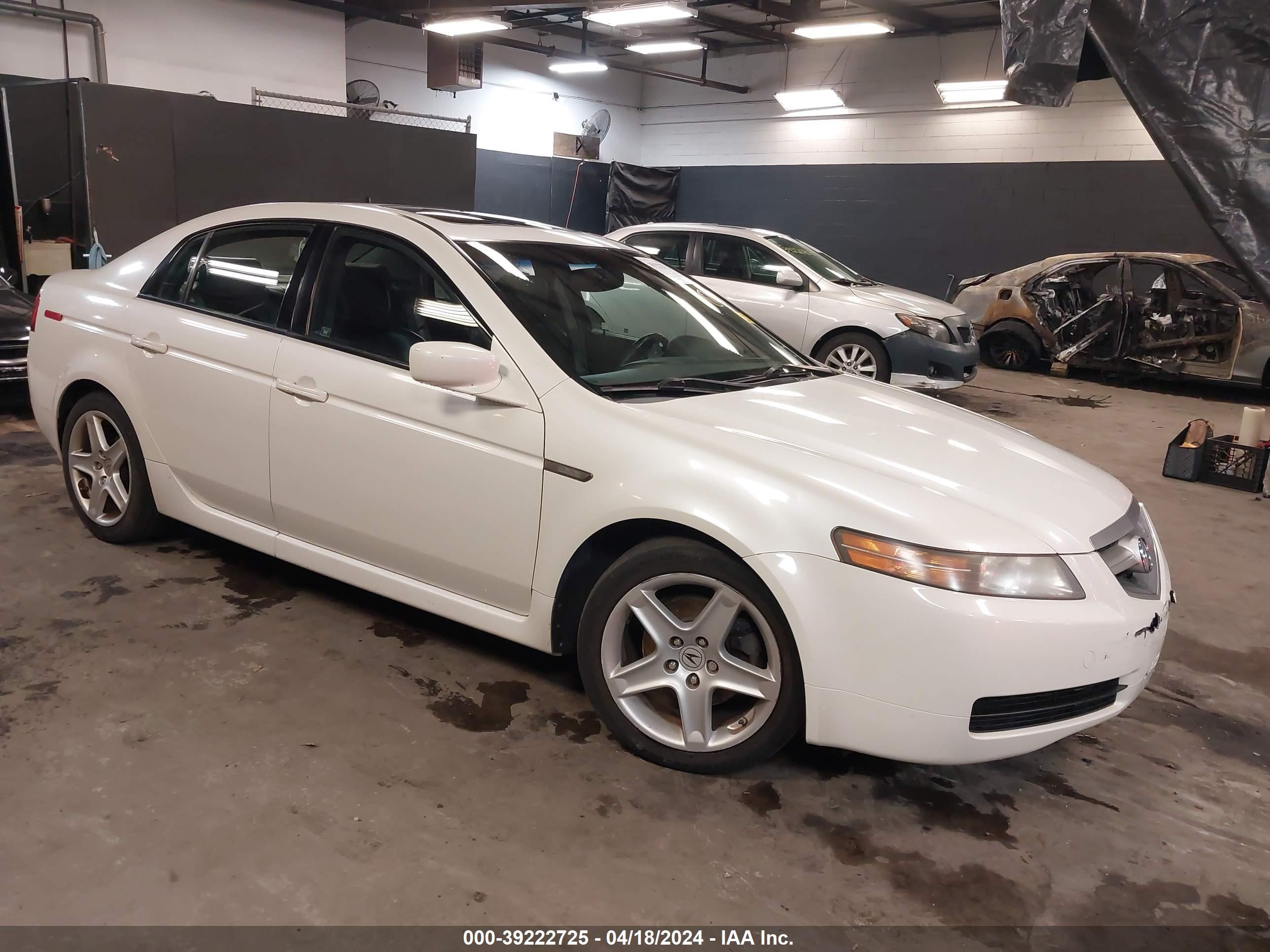 ACURA TL 2006 19uua66206a045146