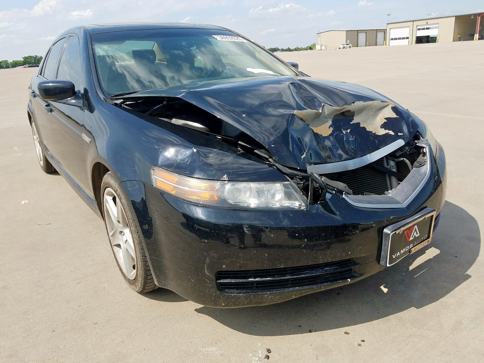 ACURA 3.2TL 2006 19uua66206a056065