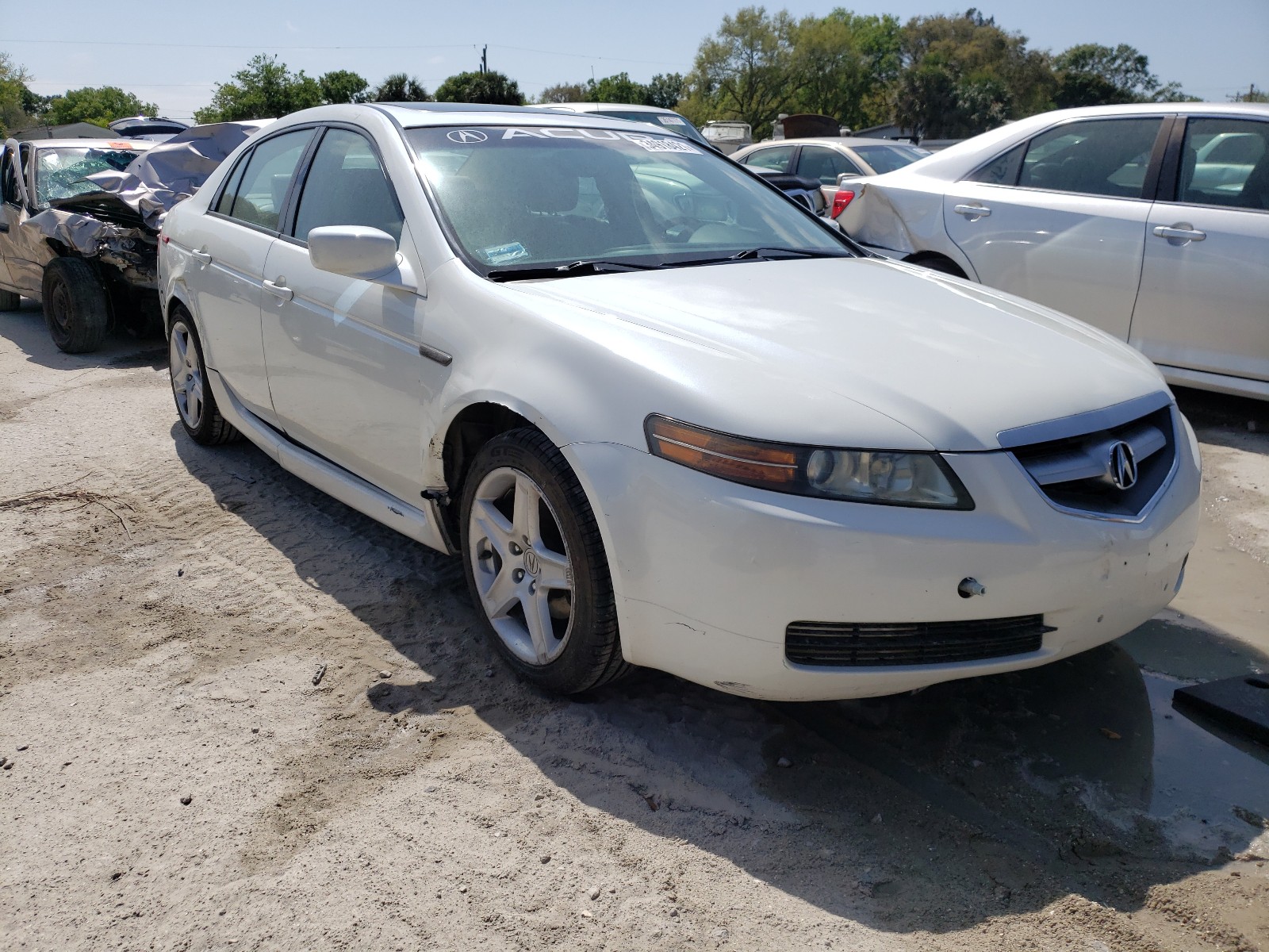 ACURA 3.2TL 2006 19uua66206a060181