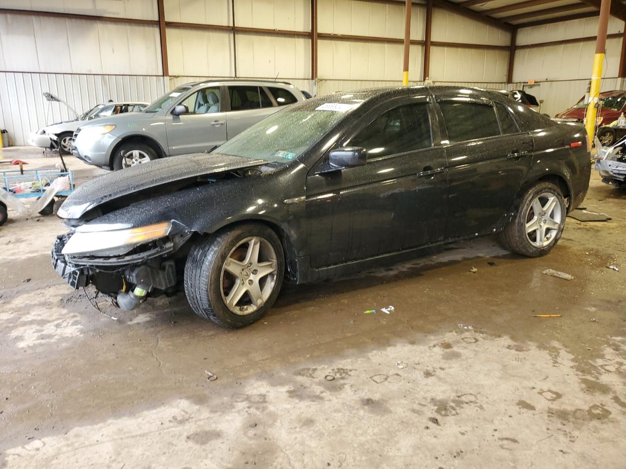 ACURA TL 2006 19uua66206a069124