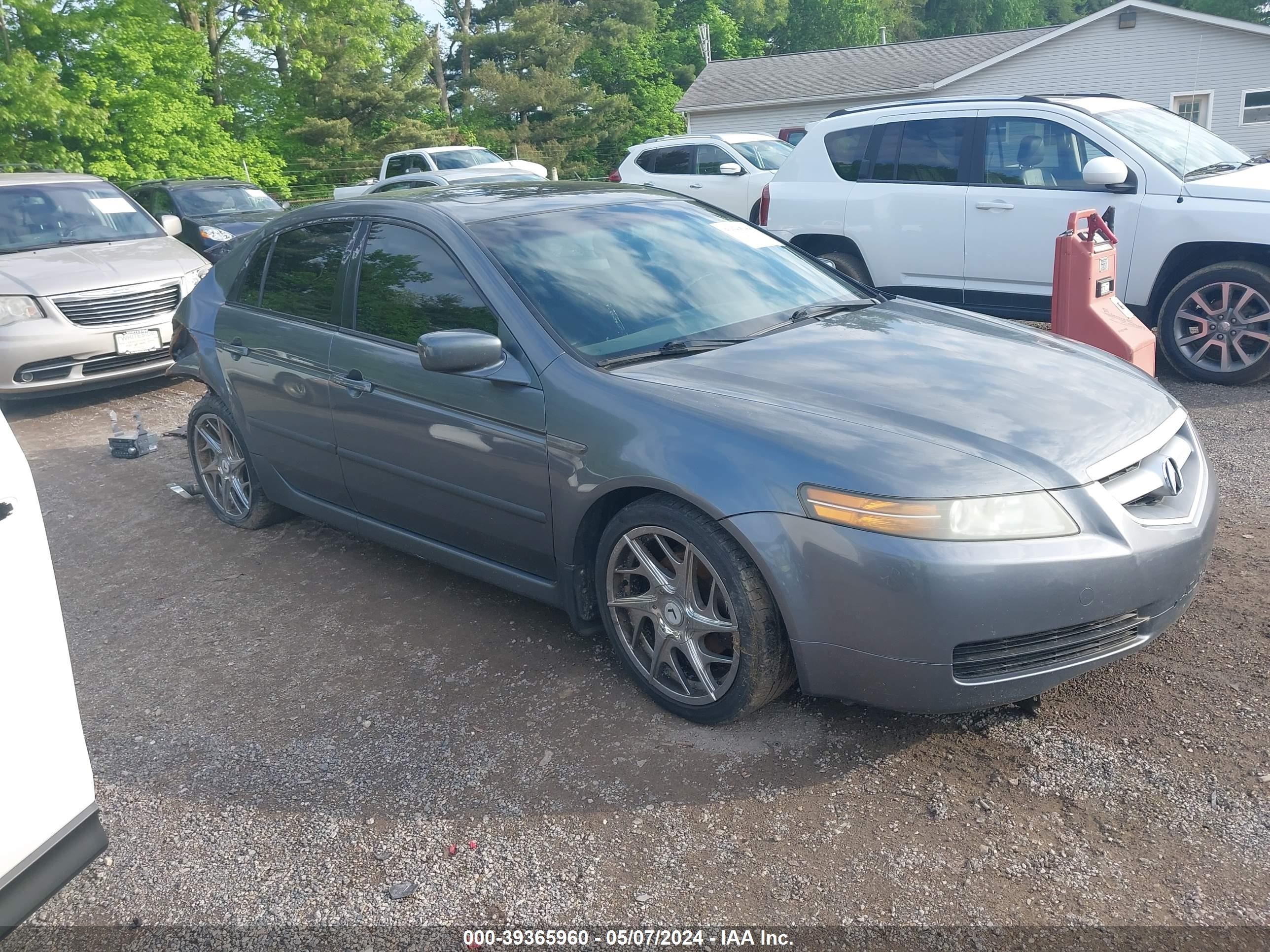 ACURA TL 2006 19uua66206a074310