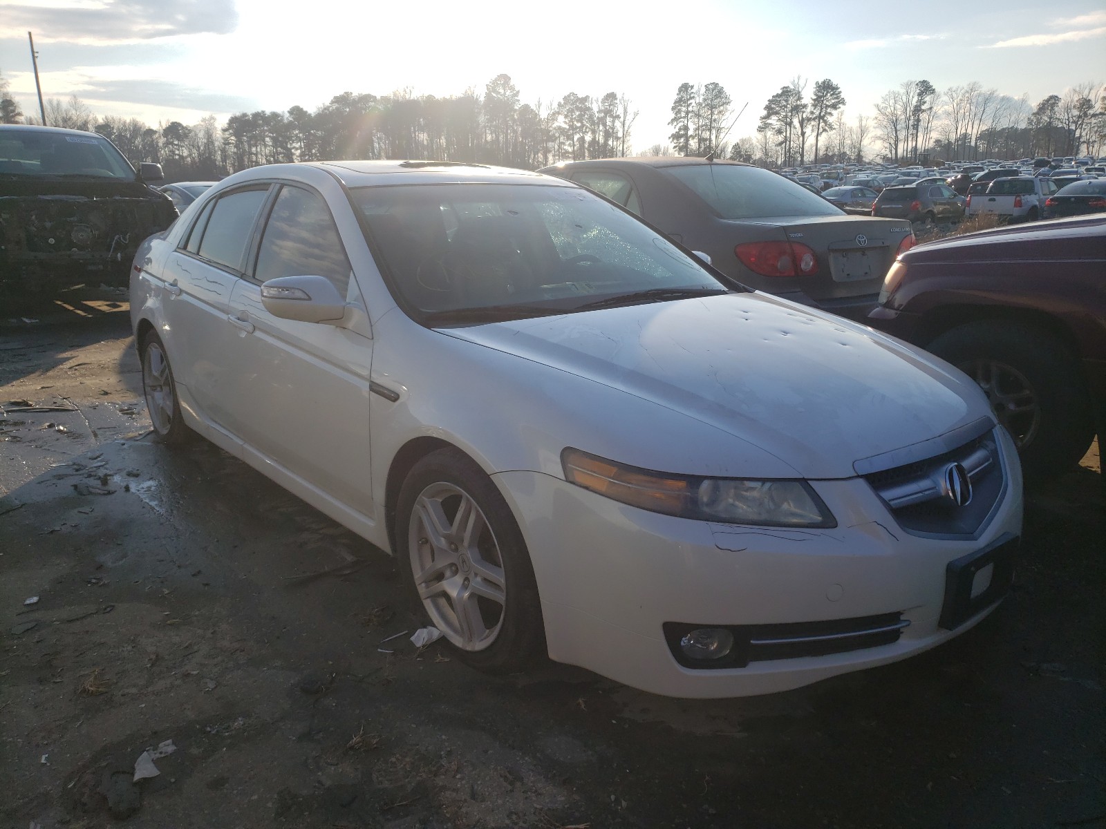 ACURA TL 2007 19uua66207a020703